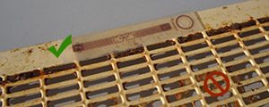 Grille à reine